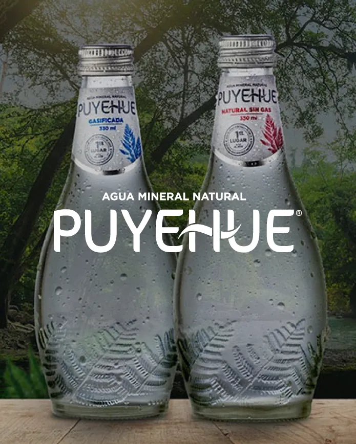Agua Mineral Puyehue